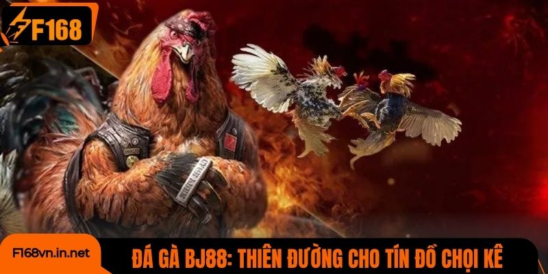 Đá gà BJ88