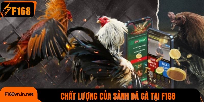 Đánh giá chất lượng của sảnh đá gà tại F168