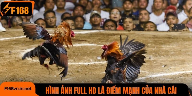 Hình ảnh full HD rõ nét là điểm mạnh của nhà cái