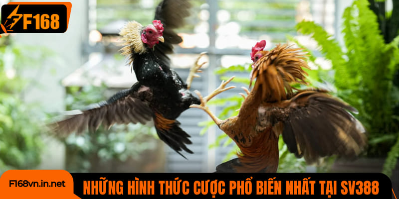 Những hình thức cược phổ biến nhất tại SV388