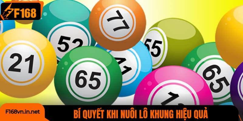 Bí quyết khi nuôi lô khung hiệu quả